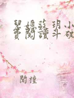 儿媳苏玥小说免费阅读斗破