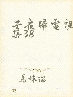 子夜归电视剧全集38