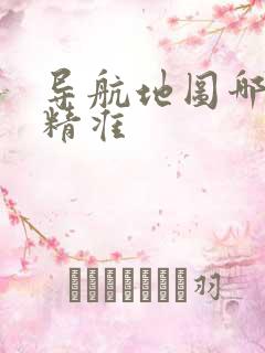 导航地图哪个更精准