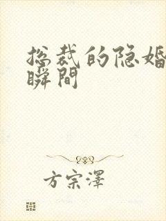 总裁的隐婚生活瞬间