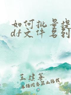 如何批量提取pdf文件名到excel