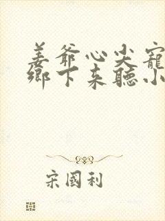 姜爷心尖宠她从乡下来听小说
