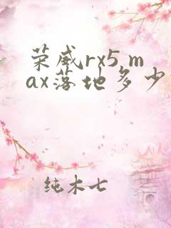 荣威rx5 max落地多少钱