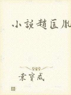 小说赵匡胤演义