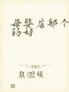 母婴店那个品牌的好