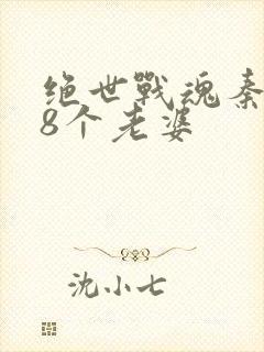 绝世战魂秦南的8个老婆