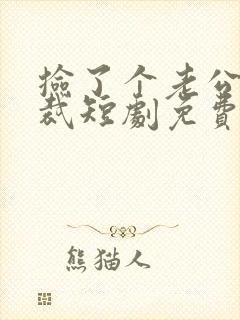 捡了个老公是总裁短剧免费观看