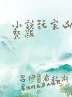 小说玩家凶猛完整版