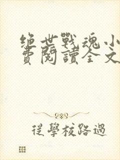 绝世战魂小说免费阅读全文在线