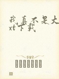 我真不是大佬txt下载