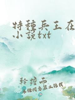 特种兵王在山村小说txt