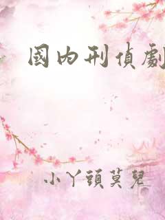 国内刑侦剧推荐