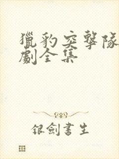 猎豹突击队电视剧全集