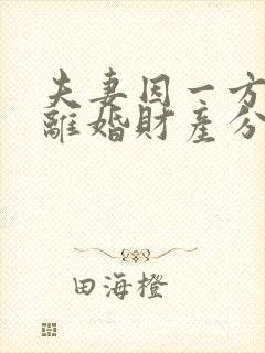 夫妻因一方出轨离婚财产分割