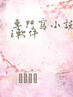 专门写小说的ai软件