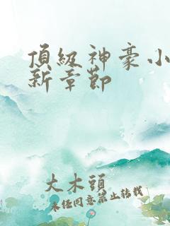 顶级神豪小说最新章节