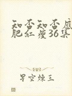 知否知否应是绿肥红瘦36集