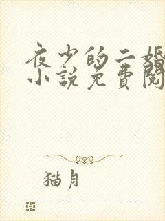 夜少的二婚新妻小说免费阅读全文