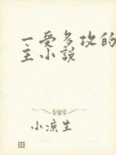 一受多攻的双男主小说