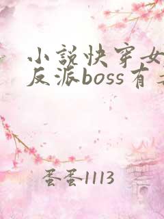 小说快穿女配之反派boss有毒