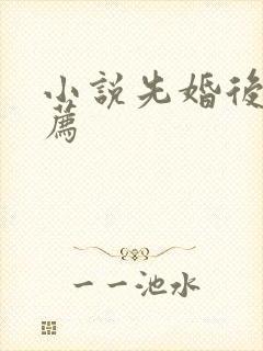 小说先婚后爱推荐