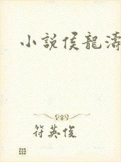 小说侯龙涛