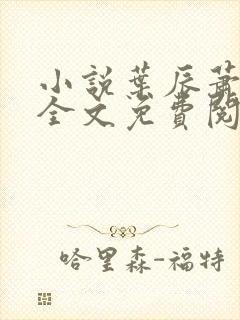 小说叶辰萧初然全文免费阅读最新章节