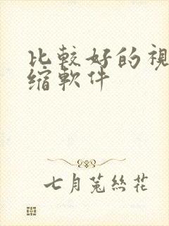 比较好的视频压缩软件