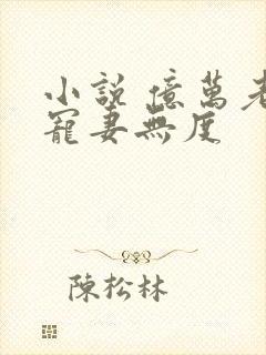 小说 亿万老公宠妻无度