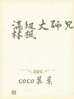 满级大师兄小说林枫