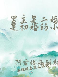 男主是二婚女主是初婚的小说