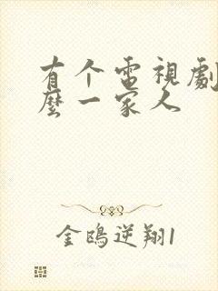 有个电视剧叫什么一家人