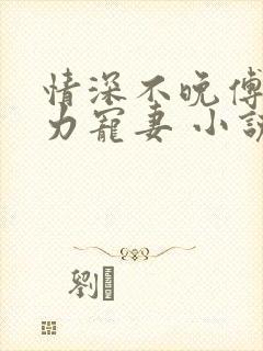 情深不晚傅少实力宠妻 小说