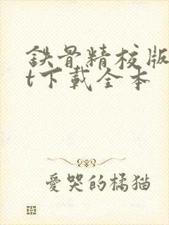 铁骨精校版txt下载全本