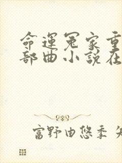 命运冤家重生三部曲小说在线阅读