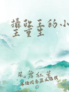 摄政王的小说女主重生