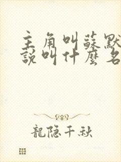 主角叫苏默的小说叫什么名字