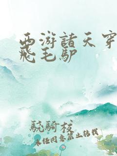 西游诸天穿越 飞毛驴