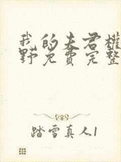 我的夫君权倾朝野免费完整版