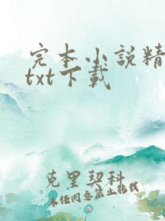 完本小说精校版txt下载