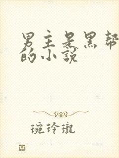 男主是黑帮大佬的小说