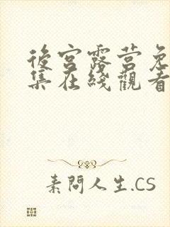 后宫露营免费全集在线观看