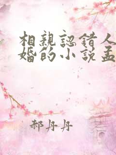 相亲认错人后闪婚的小说孟微