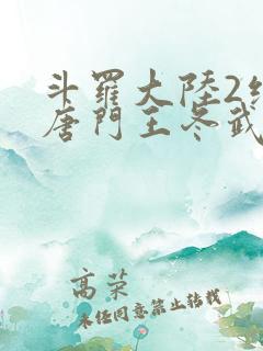 斗罗大陆2绝世唐门王冬武魂