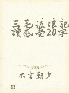 三毛流浪记的阅读感受20字