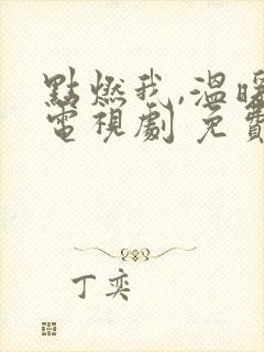 点燃我,温暖你电视剧 免费