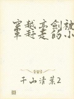 穿越亮剑被八路军赶走的小说