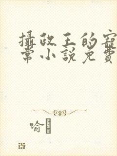 摄政王的宠妻日常小说免费阅读