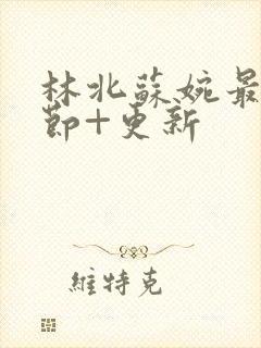 林北苏婉最新章节+更新