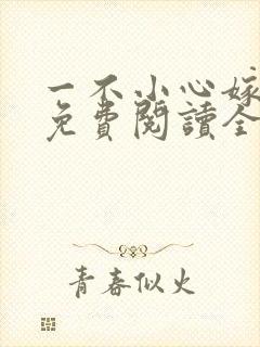 一不小心嫁总裁免费阅读全文